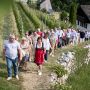 BrixenClassics – Sounding Vineyards (c) Brixen Tourismus – Andreas Tauber (34)