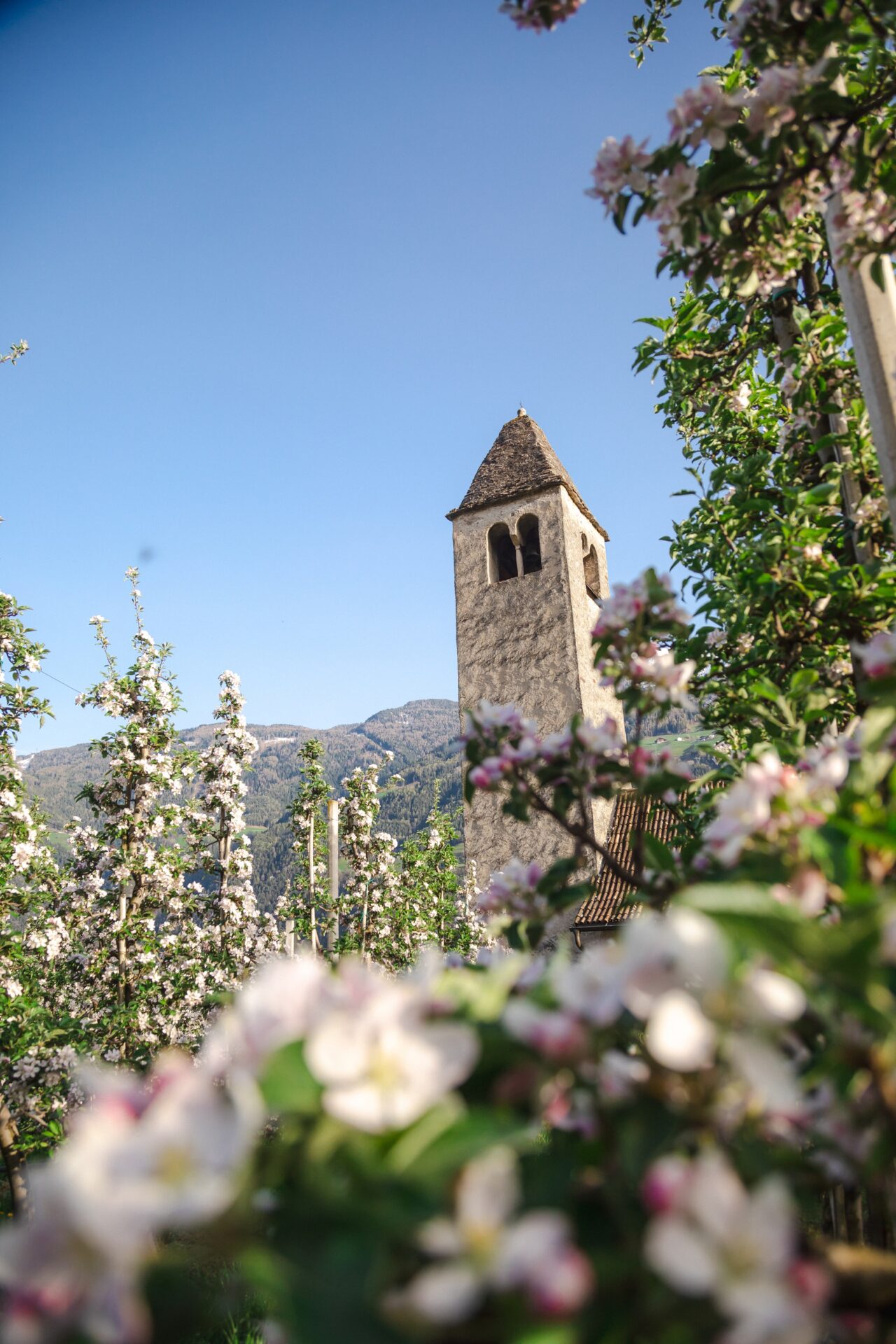 Aktiver Frühling