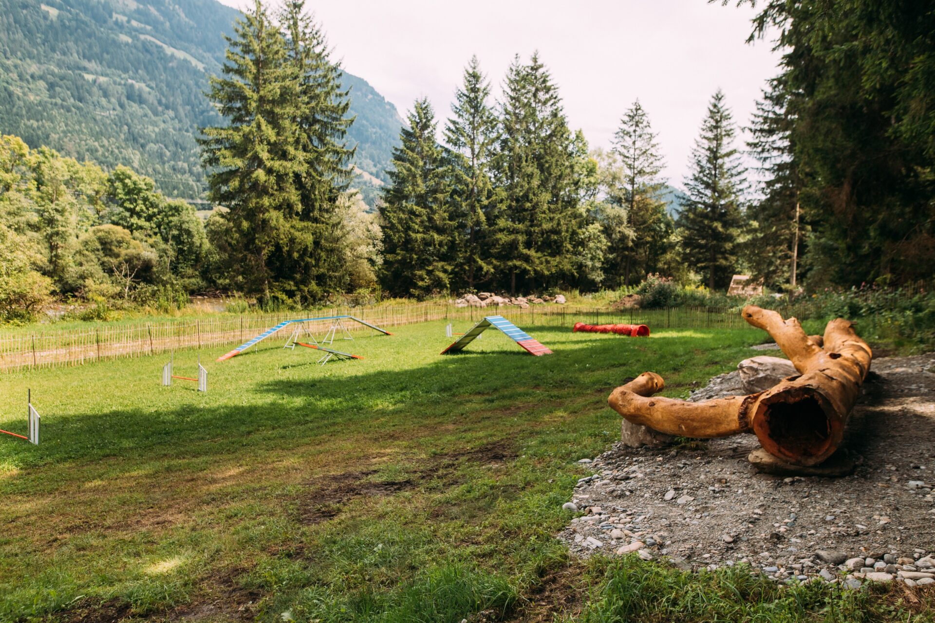 Urlaub mit Hund