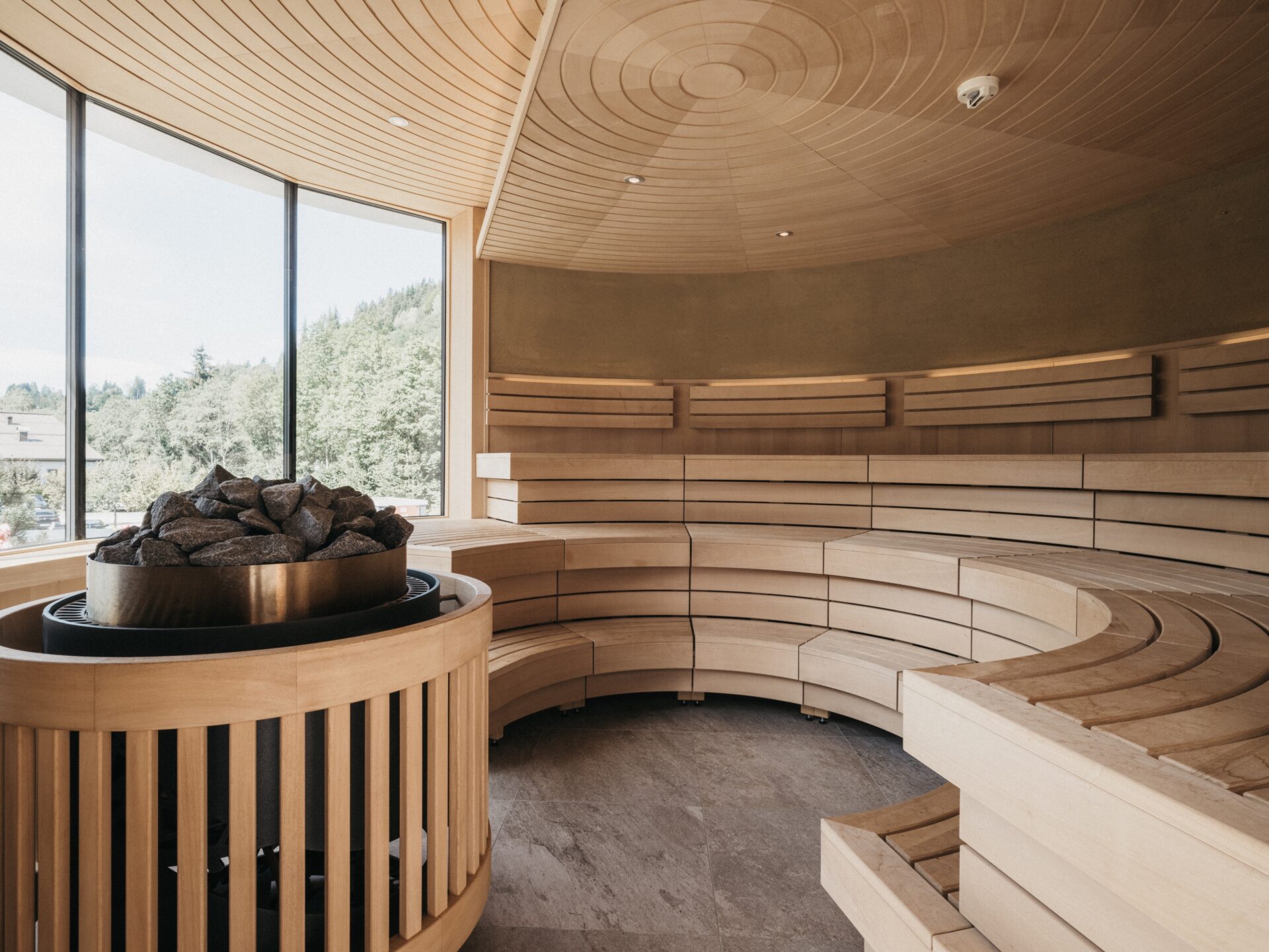 Wellness