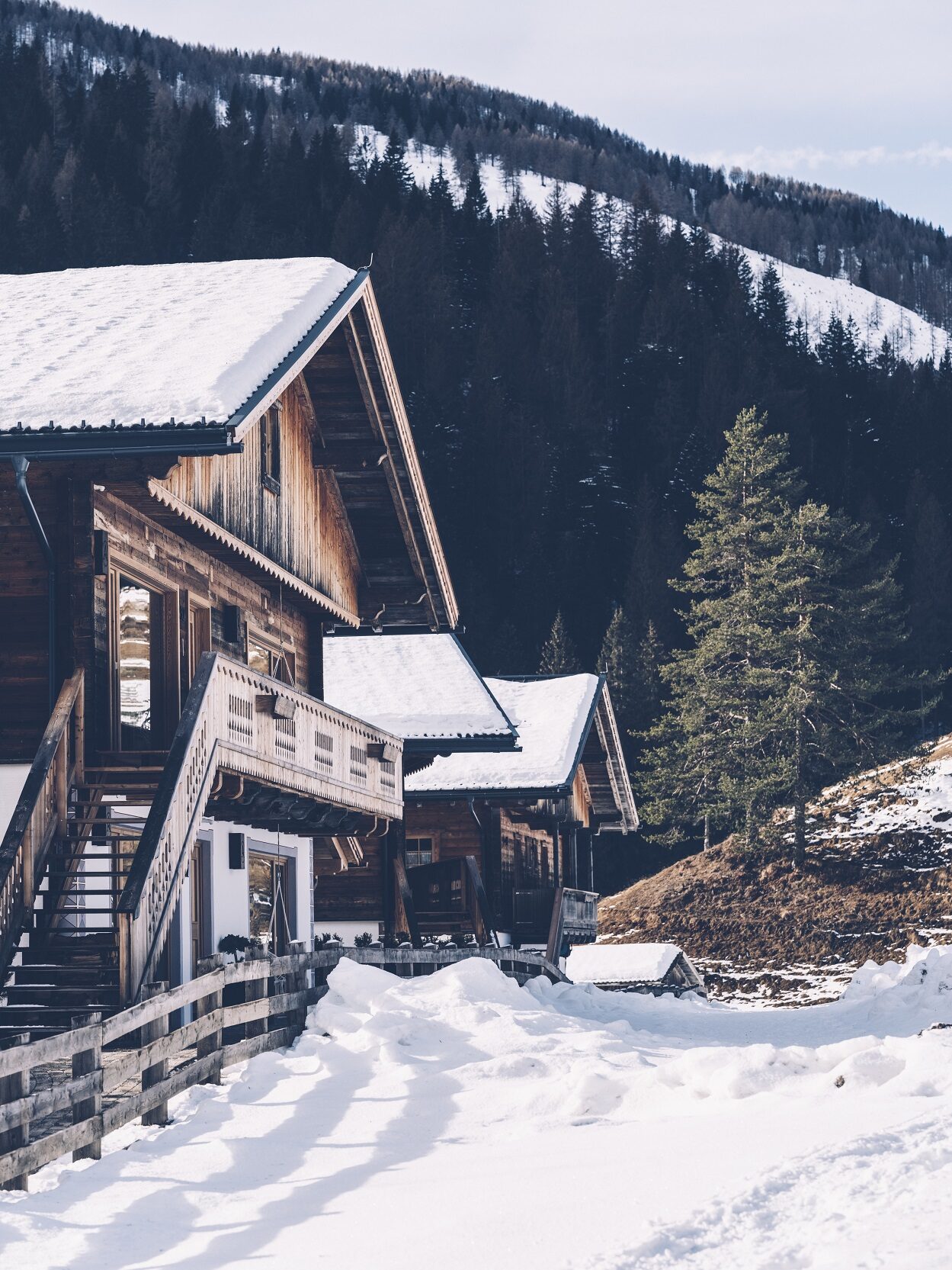Winter